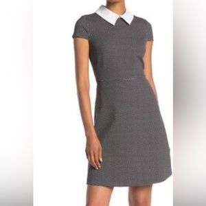 NWT BcbgMaxazria Ginnie Peter Pan Collar Dress